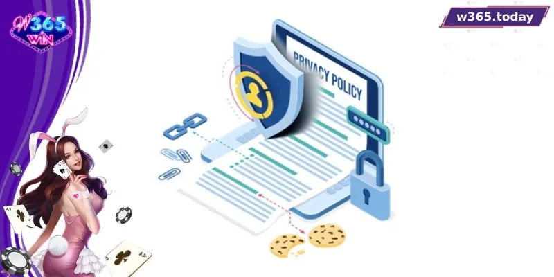 Lý do W365 ban hành chính sách về bảo mật