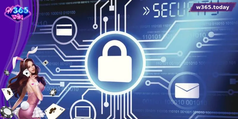 Thông tin được phép thu thập theo chính sách